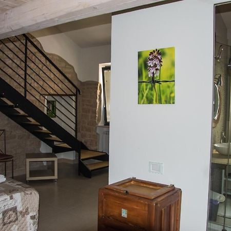 B&B Aquilegia Acqualagna Dış mekan fotoğraf