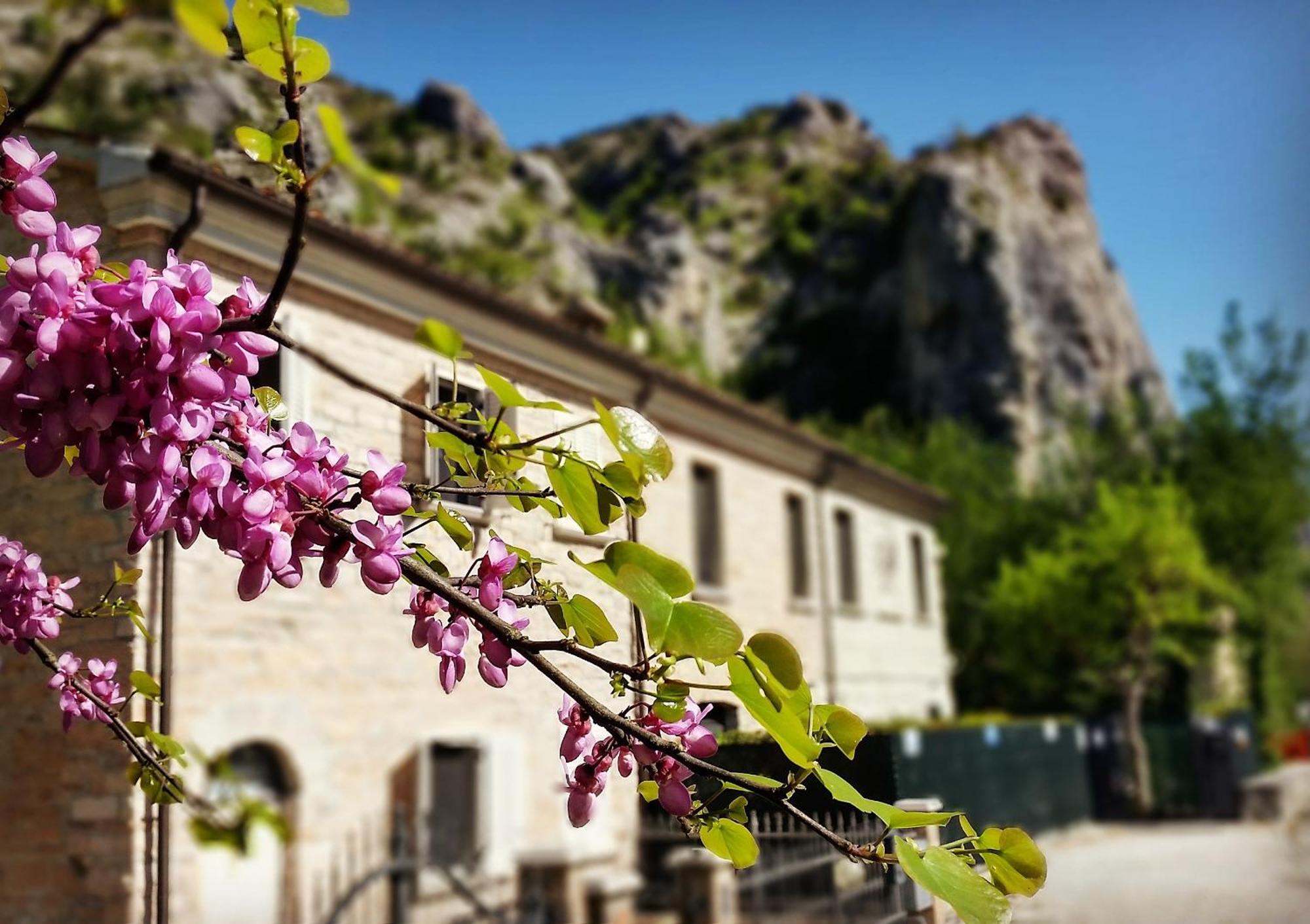 B&B Aquilegia Acqualagna Dış mekan fotoğraf